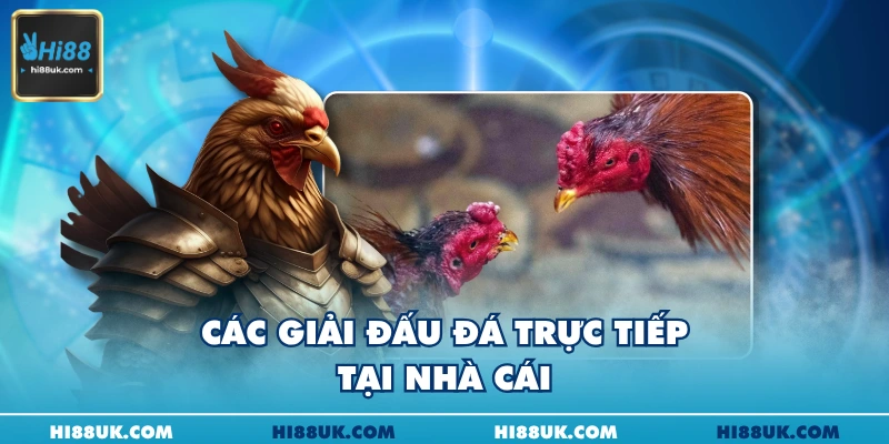 Các giải đấu đá trực tiếp tại nhà cái