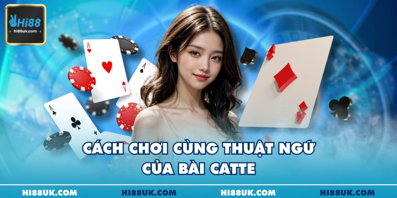 Cách chơi cùng thuật ngữ của bài catte