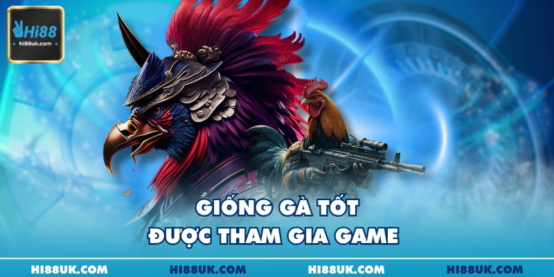 Giống gà tốt được tham gia game