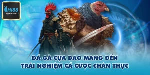 Đá gà cựa dao hi88
