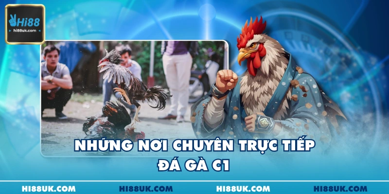 Những nơi chuyên trực tiếp đá gà C1