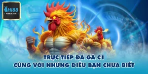 Trực Tiếp Đá Gà C1 Hi88