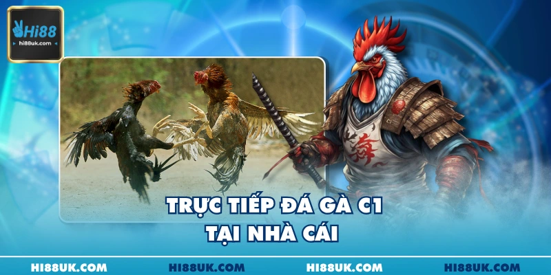 Trực tiếp đá gà C1 tại nhà cái 