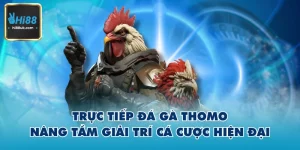 Trực Tiếp Đá Gà Thomo Hi88